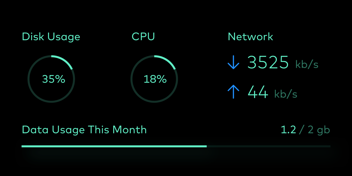 Close-up of indicators in the vitals section