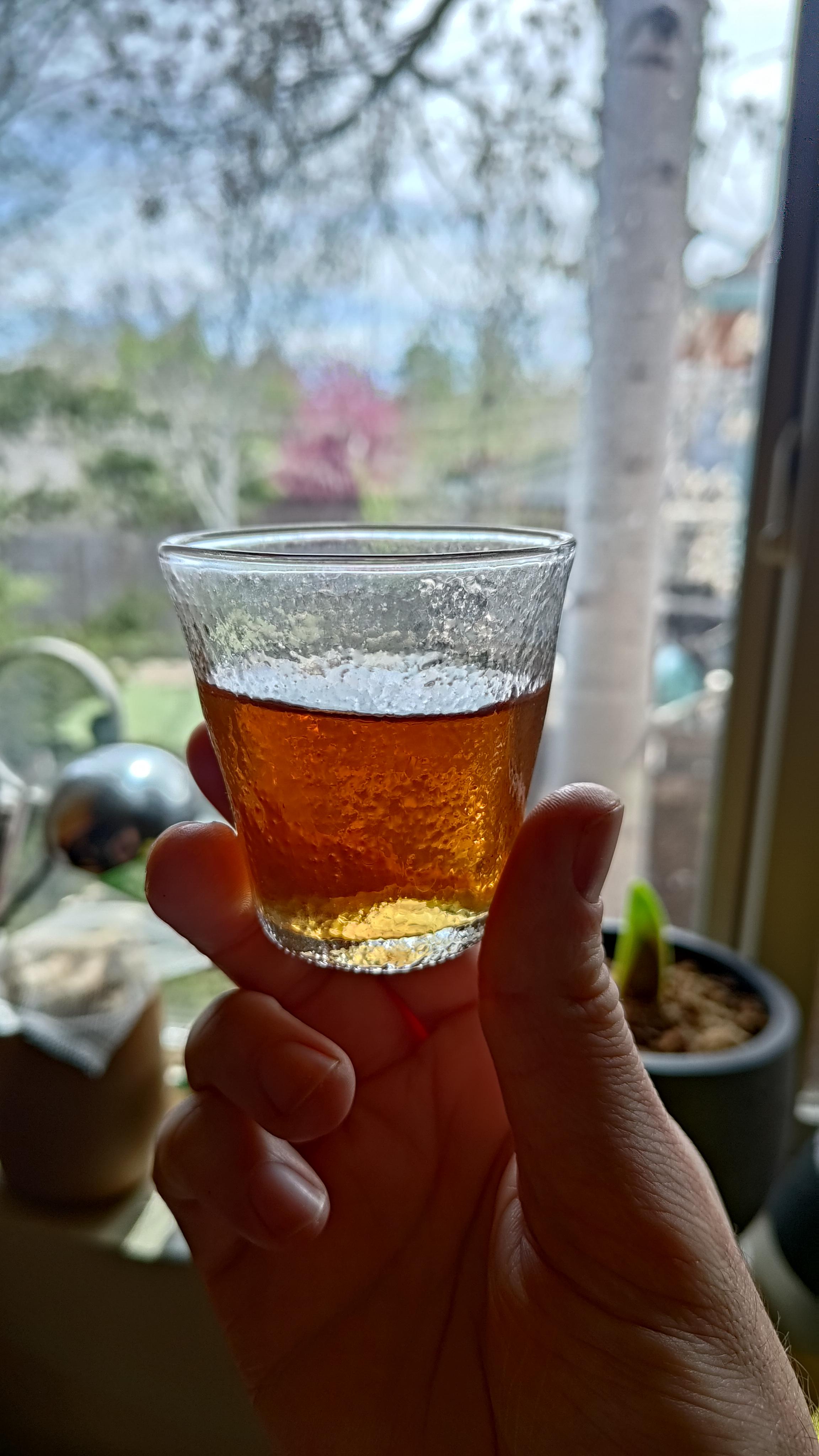 A small glass teacup of the Shou Mei white tea